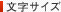 文字サイズ
