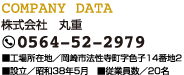 COMPANY DATA