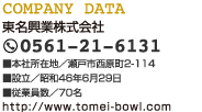 COMPANY DATA