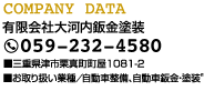 COMPANY DATA